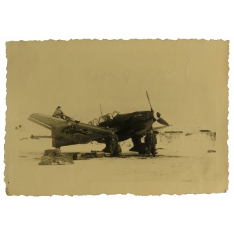 German Ju-87 Stuka bomber. Espenlaub militaria